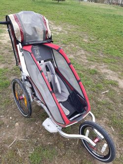 Chariot CX1 + miminkovník