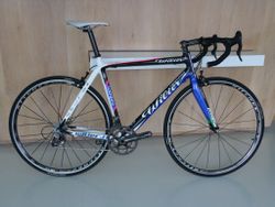 Wilier Lampre Campagnolo Record