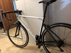 Prodám rám Endurance Van Rysel + karbonové vidlice