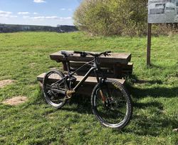 Mondraker Foxy R 2019
