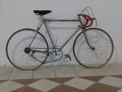 Bianchi 1954 