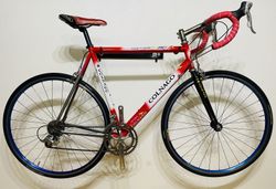 Colnago Oval Titanio Art Decor