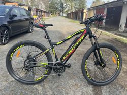 Elektrokolo LECTRON MONTANA RSX