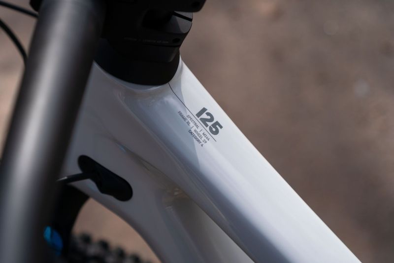 Canyon Spectral 125 CF 9