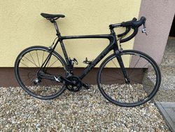 Focus izalco