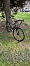Gt Grade expert 2021 vel. 55 