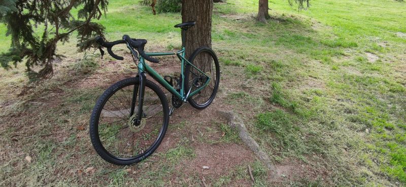 Gt Grade expert 2021 vel. 55 