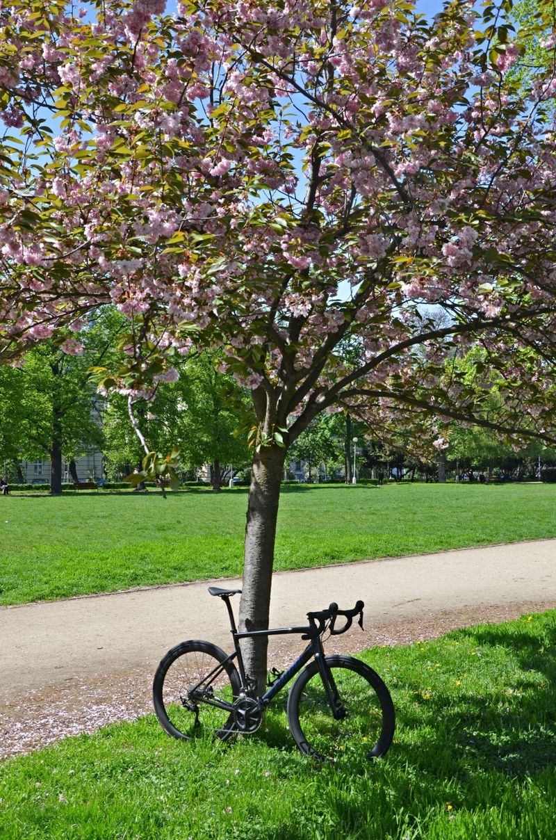 Silniční kolo Specialized Tarmac Disc Sport Gloss Carbon/Chameleon
