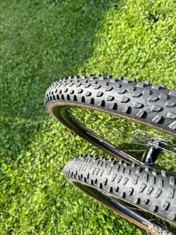 Schwalbe Racing Ralph + Ray Speed Race TLE EVO, 29x2.25