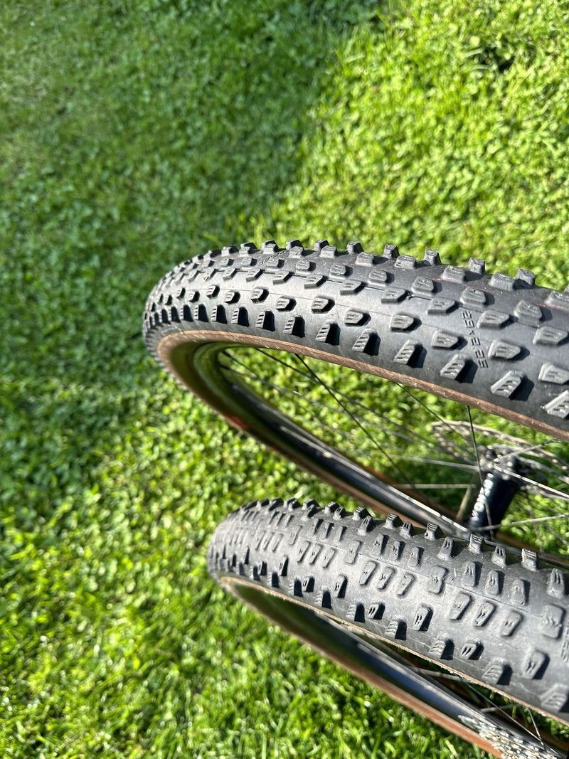 Schwalbe Racing Ralph + Ray Speed Race TLE EVO, 29x2.25
