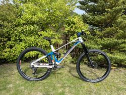 Mondraker SuperFoxy Carbon R