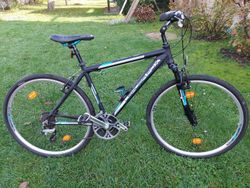 Leader fox VIATIC Gent 19''
