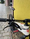 Prodám MONDRAKER CRAFTY CARBON R, CARBON/WHITE/RED 2021