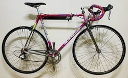 Colnago Master Olympic Art Decor