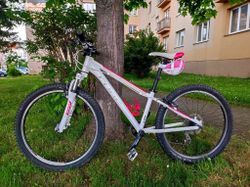 CUBE ACCESS 240 DISC