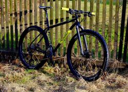 Ritchey P-29er