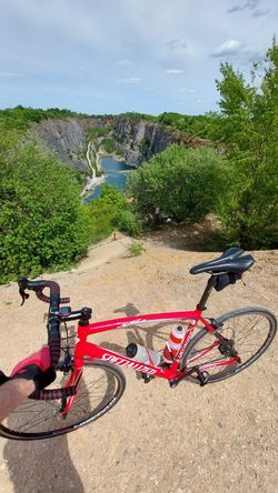 Specialized Allez, XL/58, Campagnolo