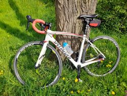 Specialized Roubaix SL4 (karbon)