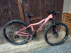 Horské kolo Cannondale Tango 5