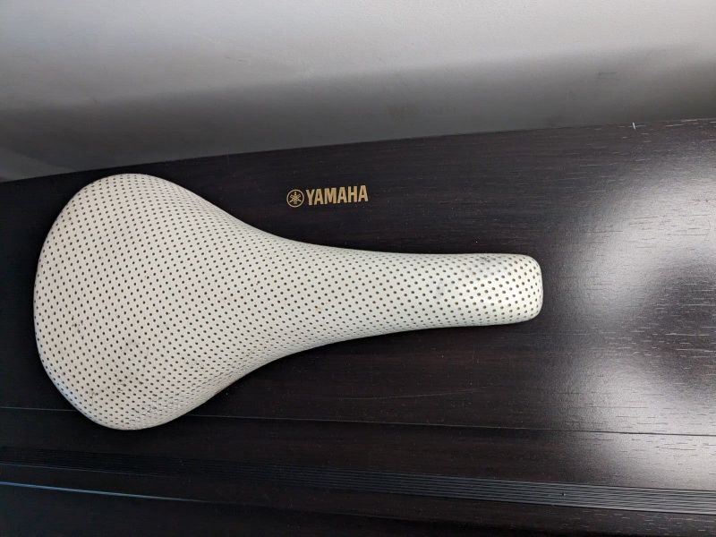 SELLE ITALIA ALPINE d.s.a.