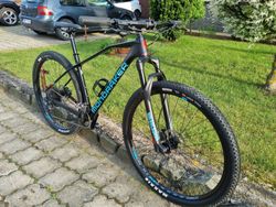 Mondraker CHRONO CARBON L