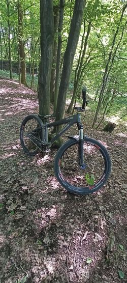 Specialized P2 ( dirt jumper )