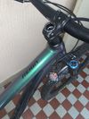 GIANT Reign 1 29" 2020 - Velikost L
