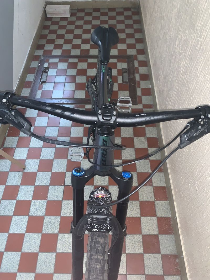 GIANT Reign 1 29" 2020 - Velikost L