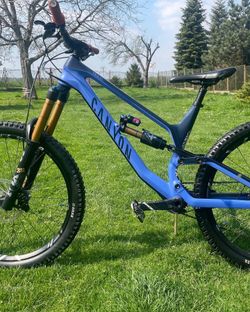 Canyon Torque CF9