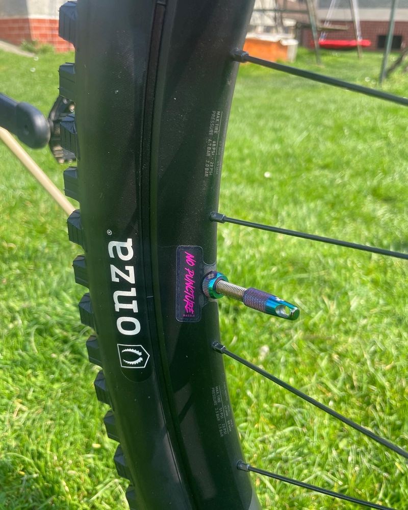 Canyon Torque CF9