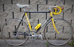 REZERVACE: Centurion Accord (56 cm)