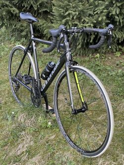 Cannodale Caad 12