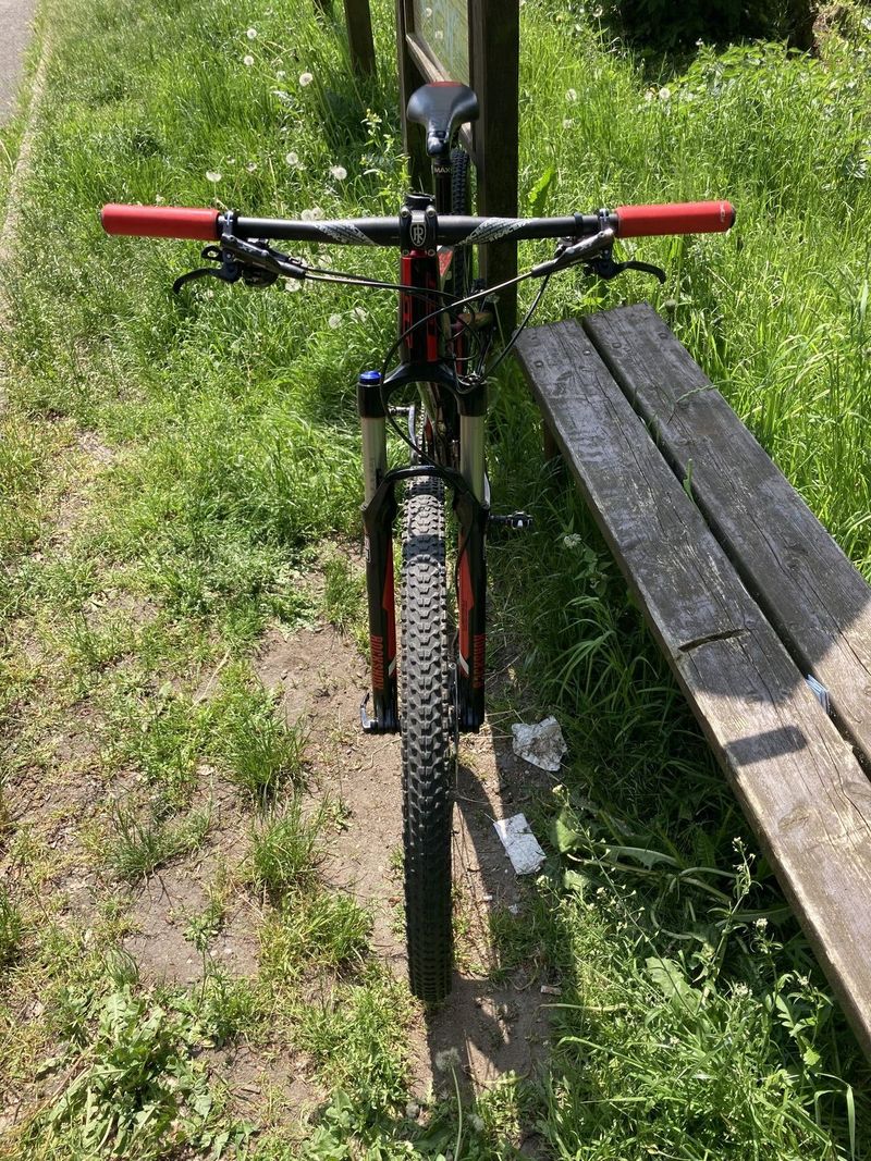 GT zaskar carbon