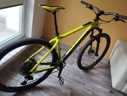Bergamont Revox Carbon Limit Edice 