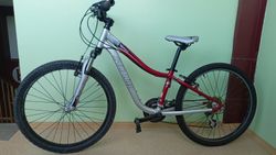 Specialized HotRock 24