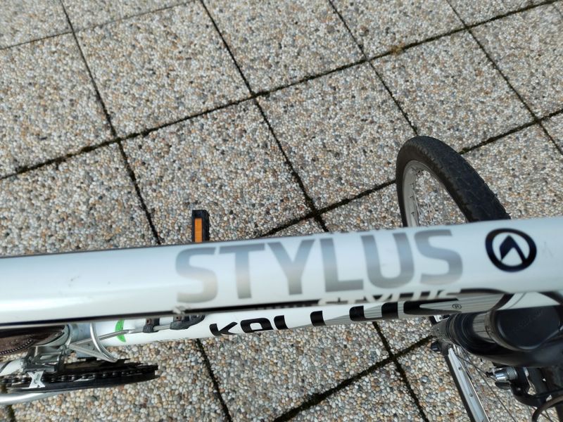 Kellys Stylus 