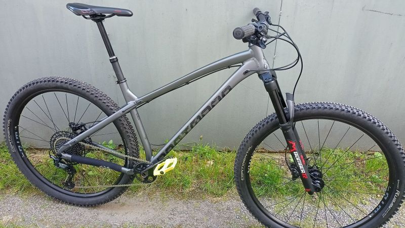 Dartmoor Primal 29 