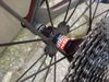 Silniční kolo Haibike - karbon