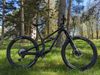 Canyon Spectral 29 CF 8 velikost M