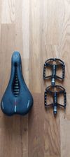 FOCUS JAM 8.9 2021 XTR