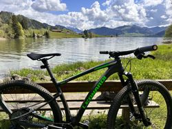 LEONARDI FACTORY 29” CC MTB 