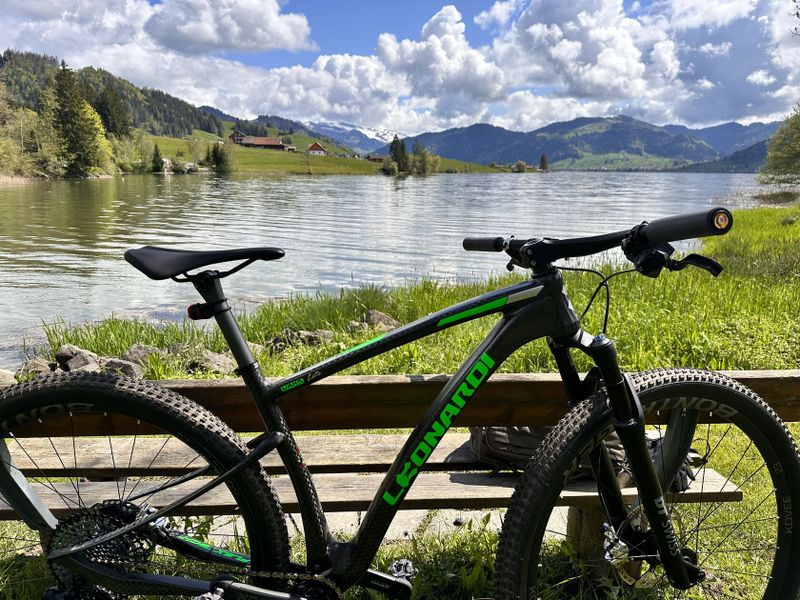 LEONARDI FACTORY 29” CC MTB 