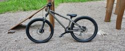 Kellys whip 10