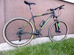 Cannondale trail 29'R