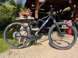 Norco Fluid HT 1 2021