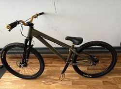Santa Cruz Jackal