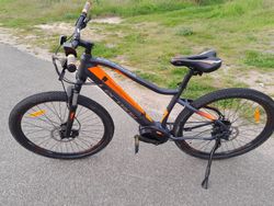 Lectron Esconder Max 