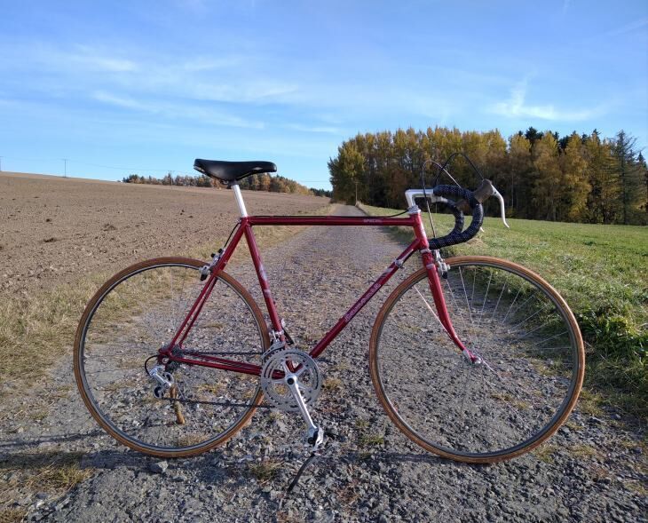 Favorit 1974