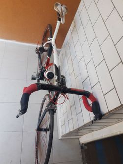 Kolo Maxbike Eagle Carbon 105 5800 Velikost L, nastaveno na 182 cm