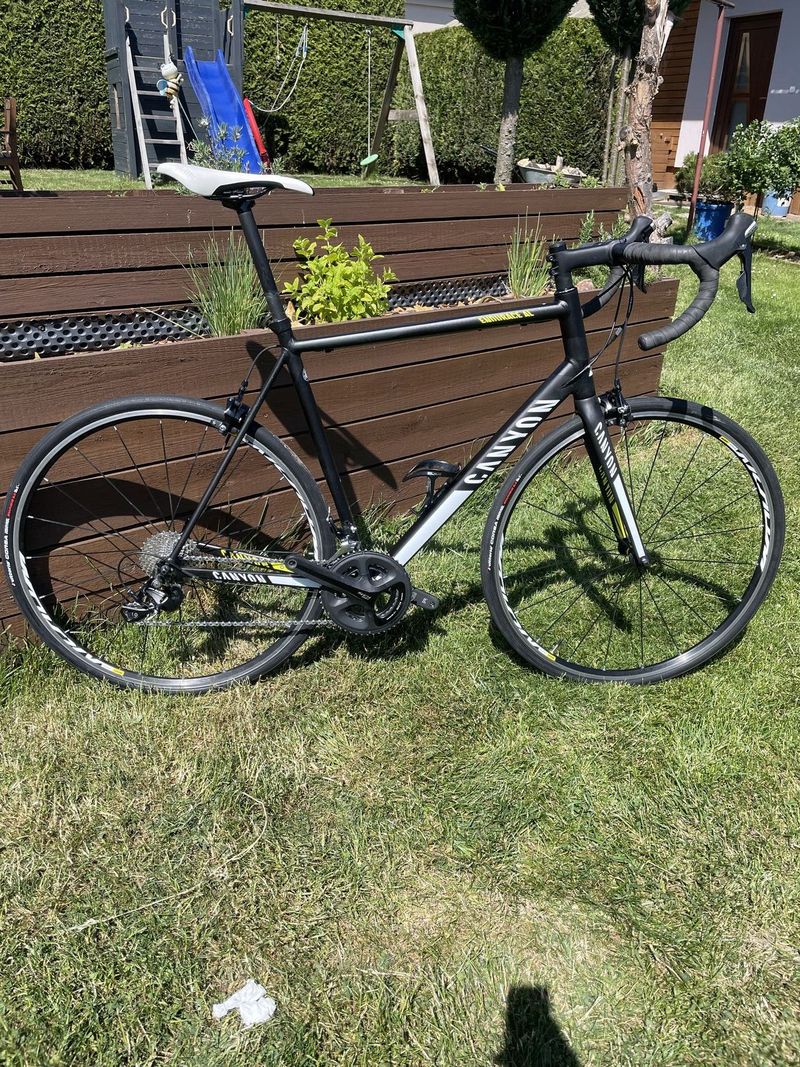 Canyon Endurace AL 6.0